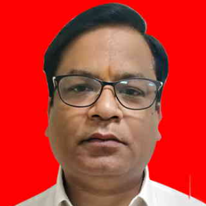 Dinesh Kaushik, <span>CIO, Sharda Motor Industries Limited</span>
