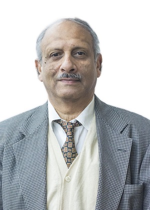 V.S. Krishnan, <span>Partner & National Leader, Tax & Economic Policy Group, EY India</span>