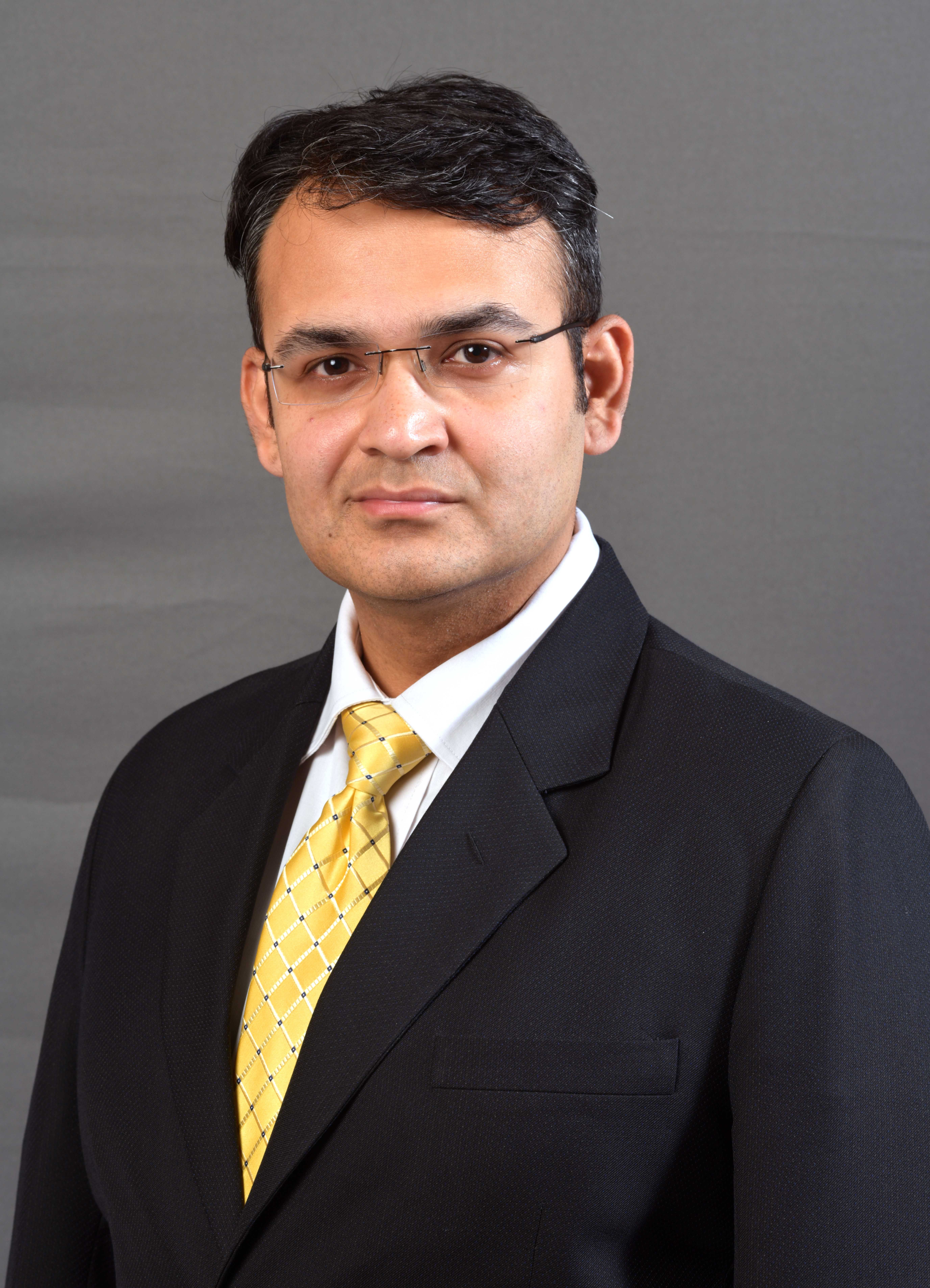 Rahul Prithiani, <span>Director, CRISIL Research</span>