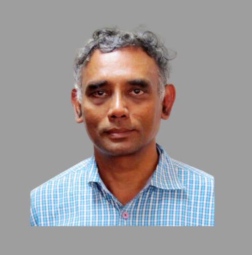 Dr N Gopalakrishnan, <span>Director CSIR-Central Building Research Institute Roorkee</span>