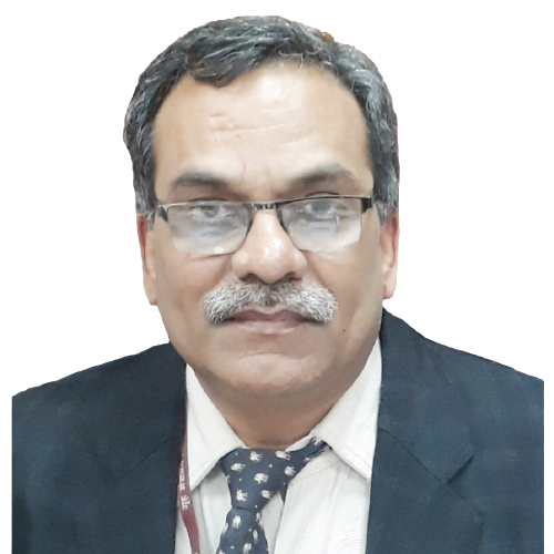 R. K. Pandey, <span>Member (Projects),  National Highways Authority of India,  Government of India</span>