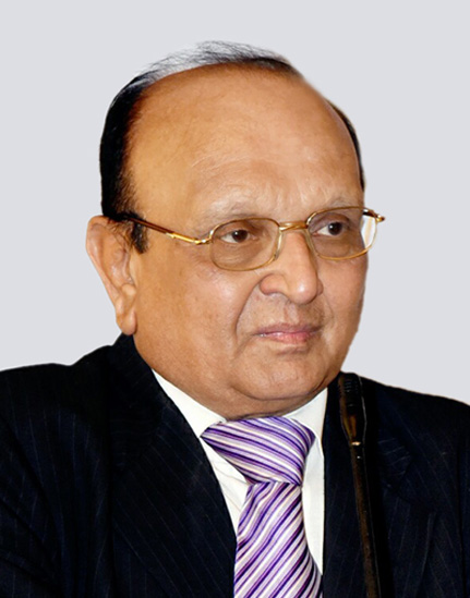 Pranav R Mehta, <span>Past Chairman and Current Director, Global Solar Council and Chairman, NSEFI</span>