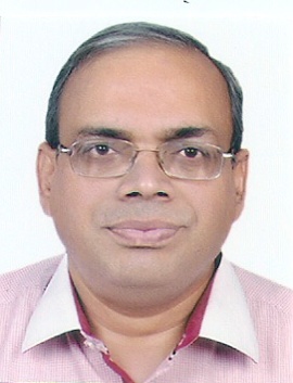 Sudhendu J. Sinha, <span>Adviser (Infrastructure Connectivity – Transport and Electric Mobility), Niti Aayog</span>