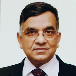 Arun Goyal , <span>Member, Central Electricity Regulatory Commission</span>