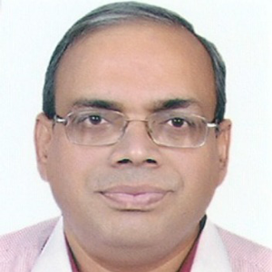 Sudhendu J. Sinha, <span>Adviser (Infrastructure Connectivity & Electric Mobility ), NITI Aayog</span>