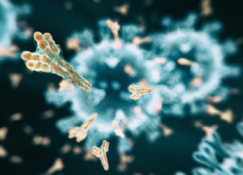 This article looks into the significance of antibody tests in determining immunity as well as possibilities of generating a vaccine for eradication of SARS-CoV-2.