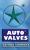 automotive valves private ltd