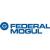 federal-mogul goetze india limited