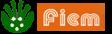 fiem industries limited